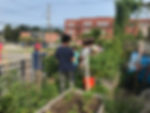 IMG_1029.jpeg