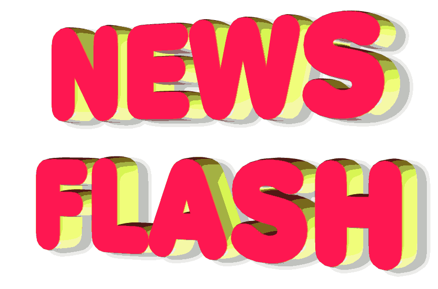 newsflash.gif