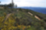 090_Black_Mountain_Summit_Trail_Views_(11).jpg