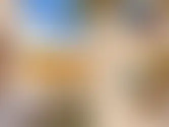 San Diego CA Pet Friendly Apartment