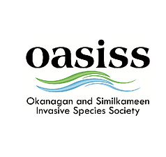 OASISS.png