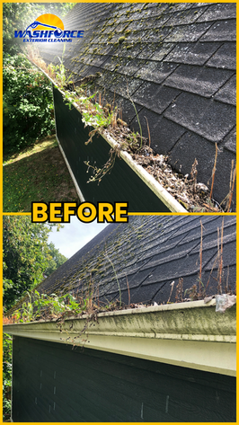 Overflowing gutter filled with weeds and moss before professional gutter cleaning in Riverview NB