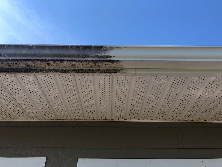 dirty gutter face half cleaned