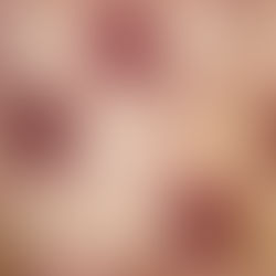 1001 Nights – Burgundy 