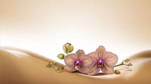 Top reasons to study Ayurveda massage courses in India