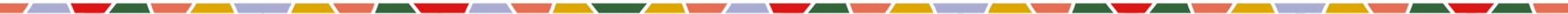 Nicole Darabi_Small Divider.png