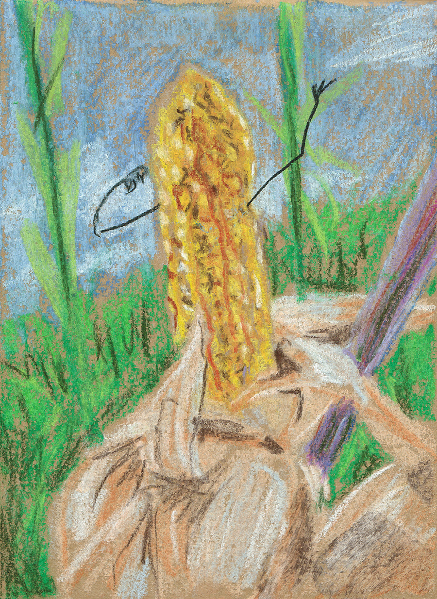 18Sweetcorn