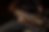 Main-BG-homepage-1-1024x659.png