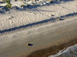 Photo by Shaun Seymour