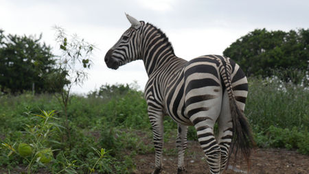 Green Gate Entertainment Travel Photography Workshops - Hawaii