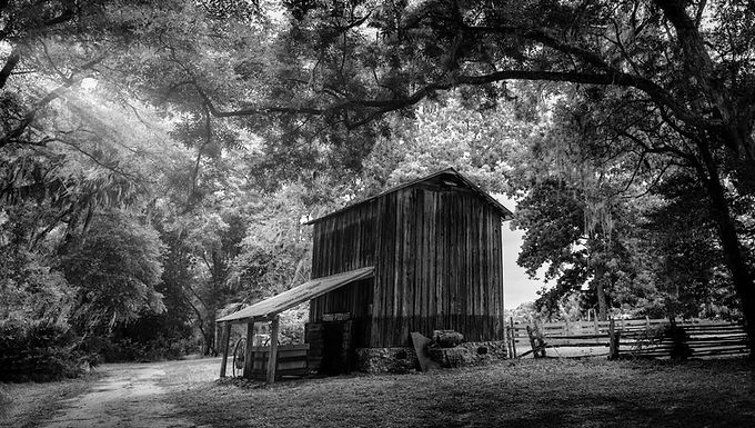 Monochrome by Foto Dono