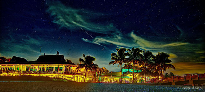 Sharky's Restaurant, Venice, FL _2909