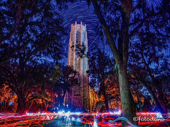 Bok After Dark_1250075