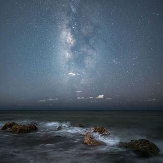 © Donnavon Evans - Caspersen Beach, FL