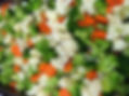 Steamed Mixed Veggies