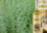 absinthe-9192a737.jpeg