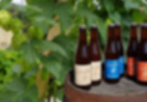 bieres-6124b985.jpeg