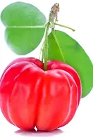 1_2.webp