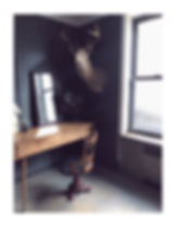 room.JPEG
