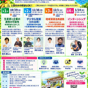 人材育成研修プログラム_沖縄県地域資源活用・地域連携サポートセンター.jpg