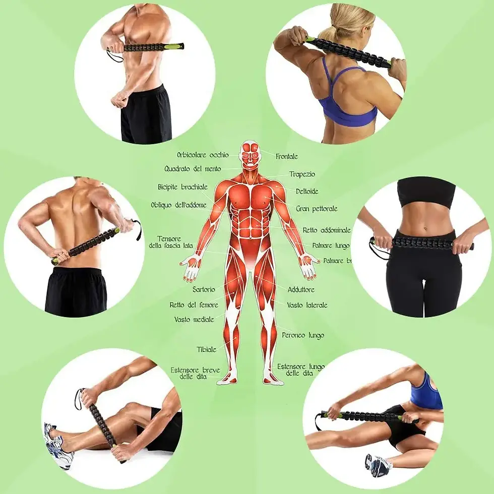 Miniatura: Bastón de Masaje Muscular Élite - Recuperación Pro-Active