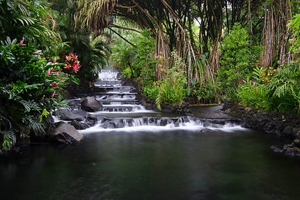 Tabacón hot springs.jpeg