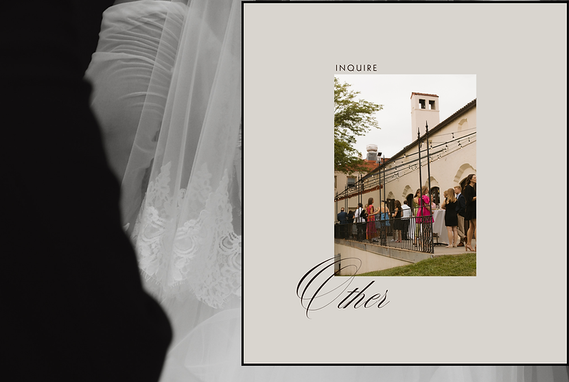 Multimedia Artist-7.png