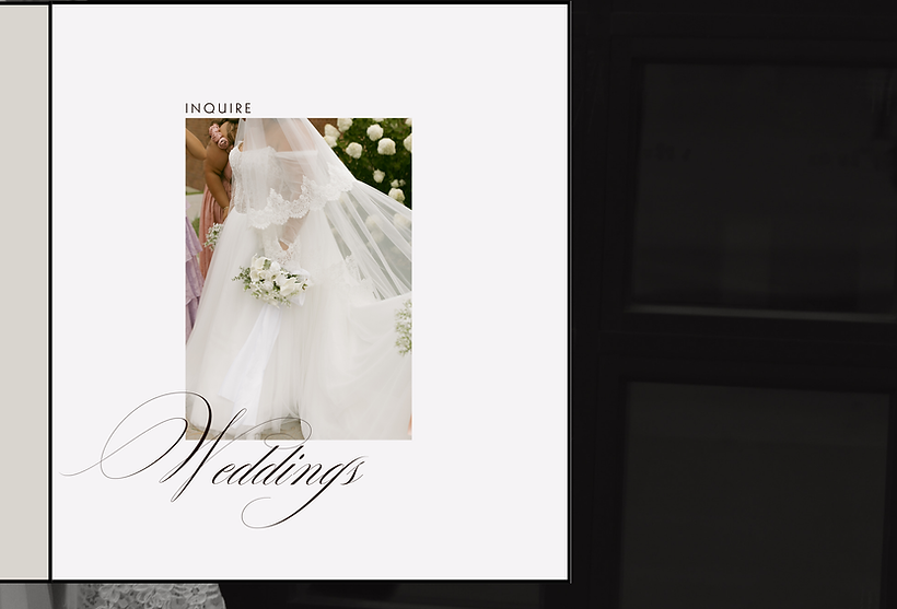 Multimedia Artist-7.png