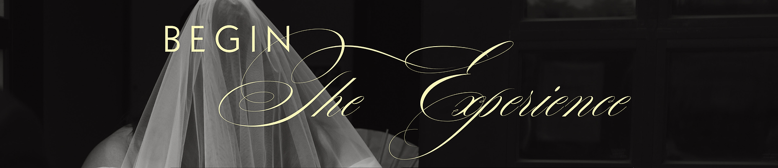 Multimedia Artist-7.png