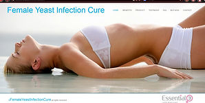 web designer, website design company