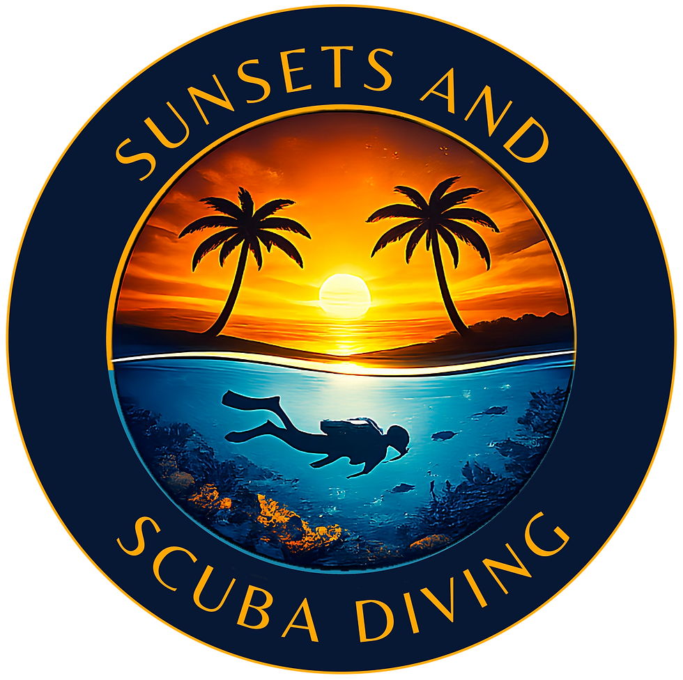 Sunsets And Scuba Diving logo featuring vibrant sunset with two palm trees
