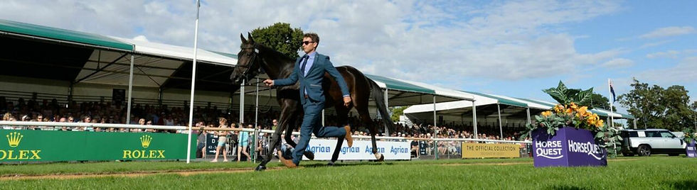 Exclusive Infield Access to 1st Veterinary Inspection