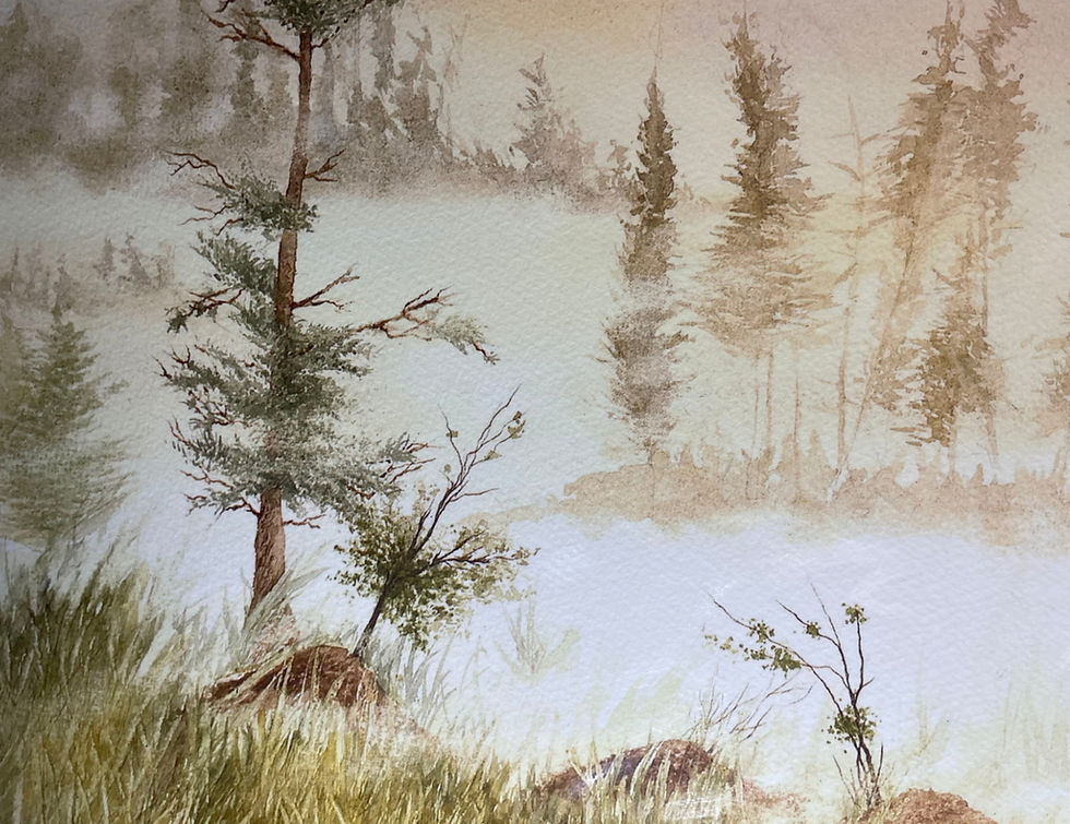 Trees_in_forest_fog_edited.jpg