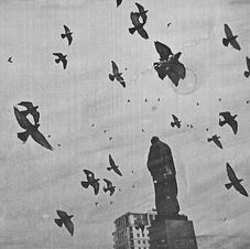 17 cm long side _ Matte 4.jpg