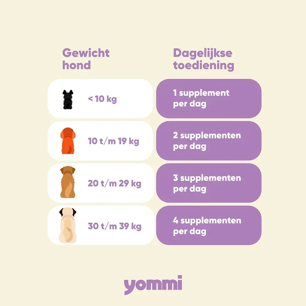 Yommi supplement Happy Skin - Ondersteunt gezonde vacht en huid