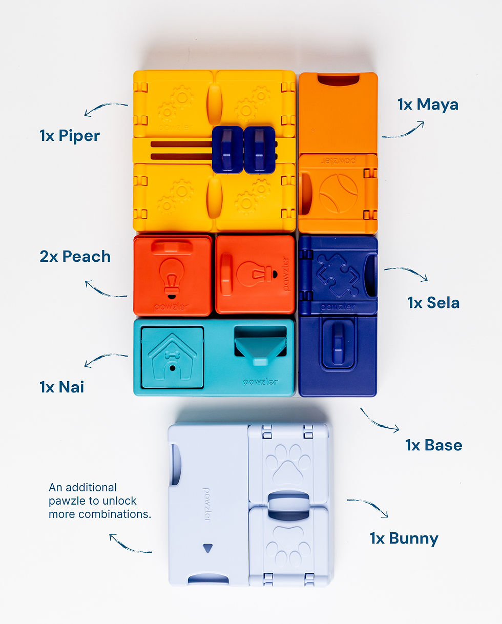 Pawzler genius set - level 3 hondenpuzzel voor mentale stimulatie