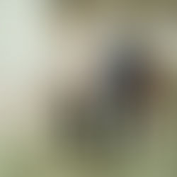 Anti-Slavery Day & Denim for Freedom