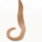 Thumbnail: 50g 20" U tips | Remy Virgin | Straight Natural Colours