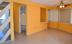 COND. DE LAS PALMERAS