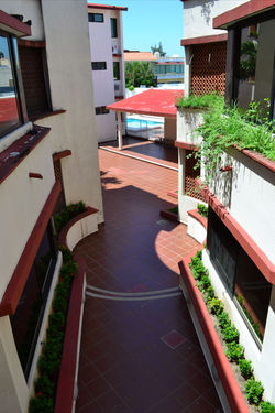 COND. DE LAS PALMERAS