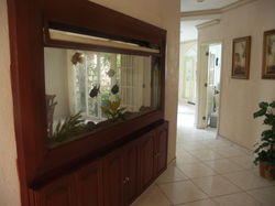 RESIDENCIA *COSTA DE ORO*