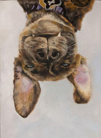 Bat Dog