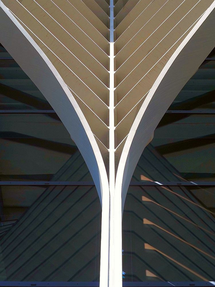 Zaha Hadid Muster