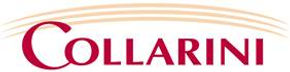 Collarini Energy Staffing.jpg
