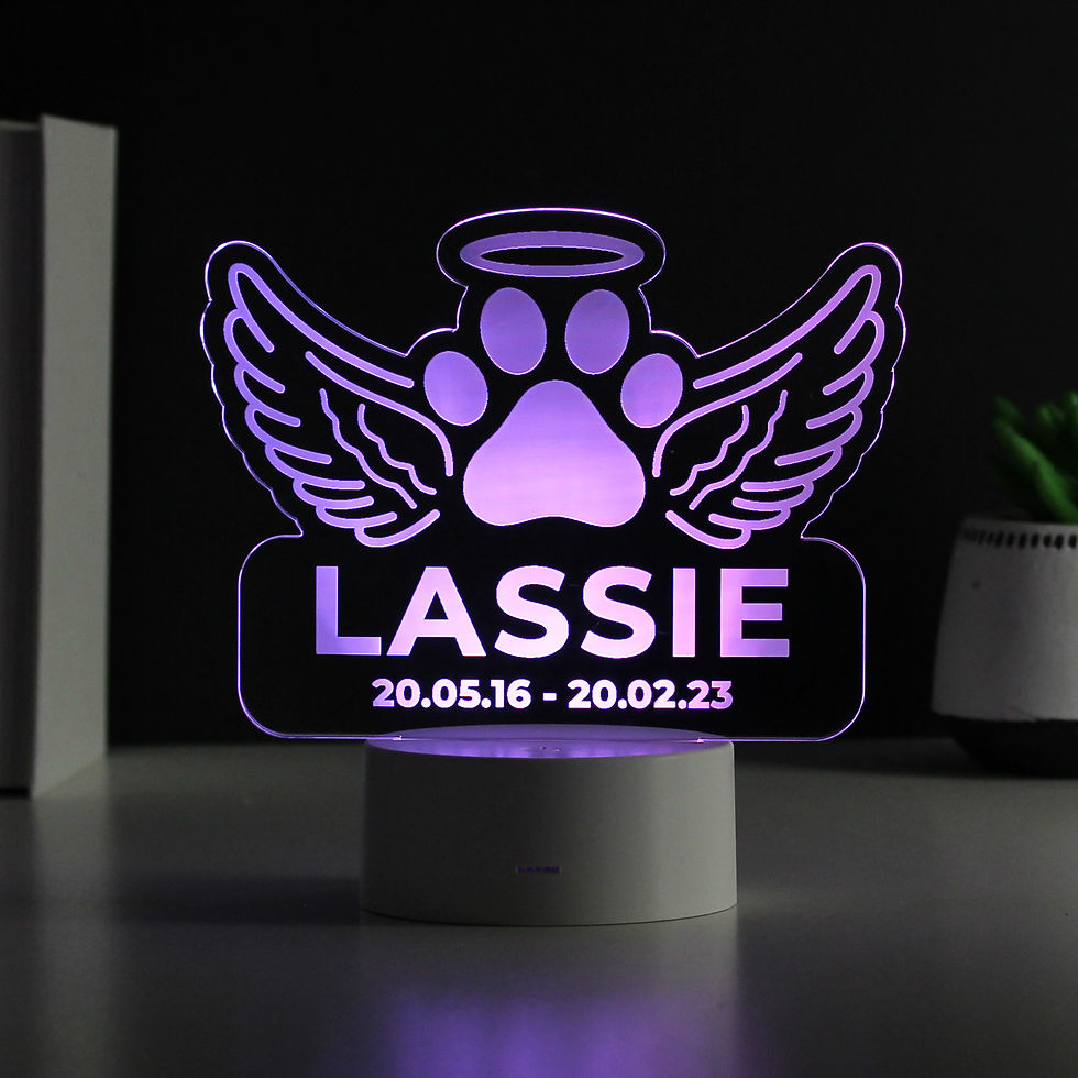 Thumbnail: Personalised Pet Memorial Colour Changing LED Light