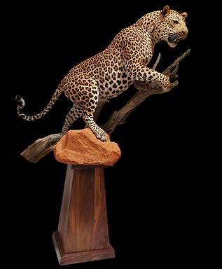 123_1 (1)_edited.jpg