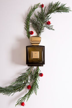 WhatsApp Image 2022-08-23 at 10.29.54