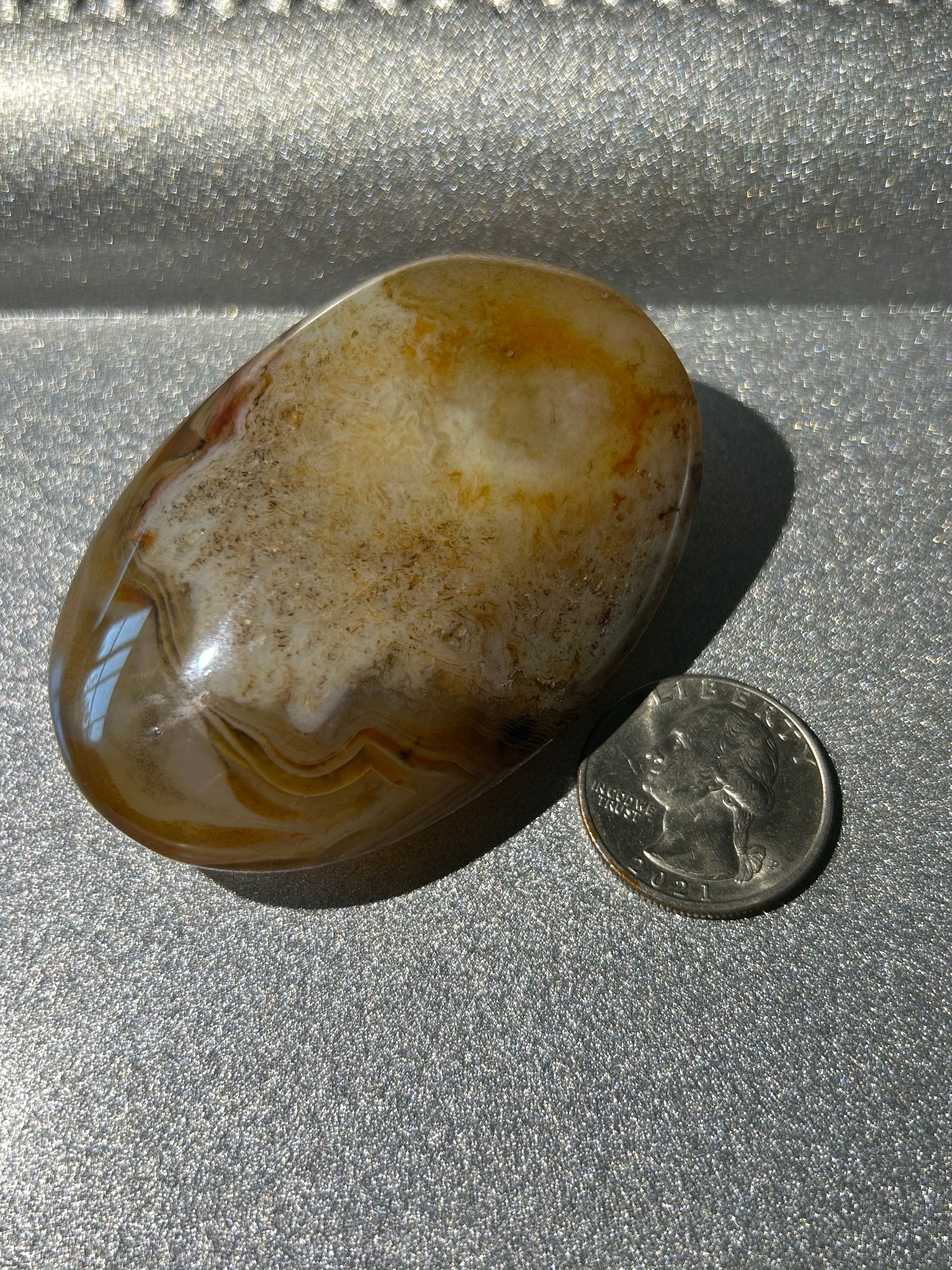 Sardonyx Palm