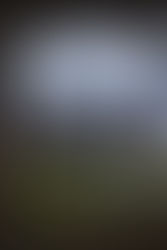 Peter Barr a New York Rock, Reggae, Dance Hall musician