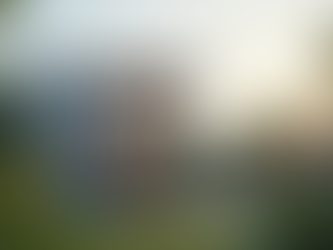 Real Estate Investing for Busy Professionals: A Guide to Get Started While Working Full-Time